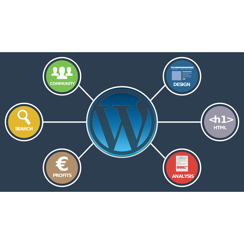 宁波wordpress建站:WordPress网站所有者都应了解的5个很棒的SEO工具